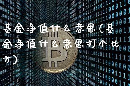 基金净值什么意思(基金净值什么意思打个比方)_https://www.cangshenghg.com_A股_第1张