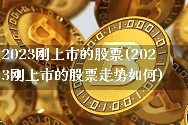 2023刚上市的股票(2023刚上市的股票走势如何)_https://www.cangshenghg.com_创业板_第1张