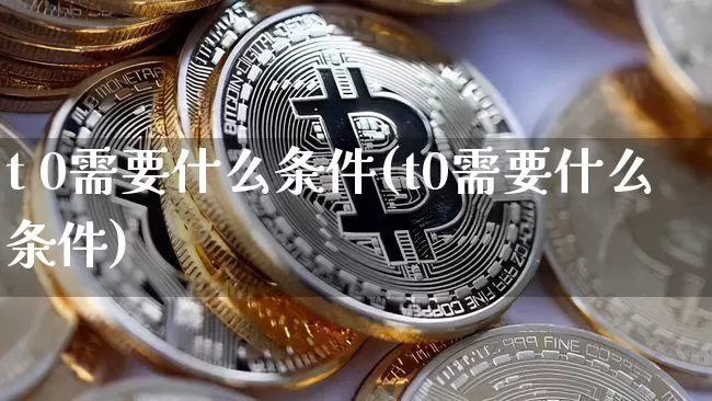 t 0需要什么条件(t0需要什么条件)_https://www.cangshenghg.com_北交所_第1张