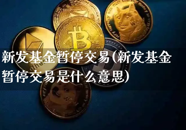 新发基金暂停交易(新发基金暂停交易是什么意思)_https://www.cangshenghg.com_北交所_第1张