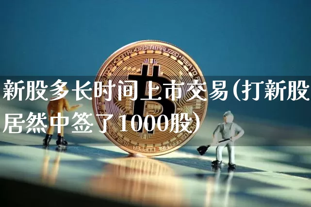 新股多长时间上市交易(打新股居然中签了1000股)_https://www.cangshenghg.com_A股_第1张