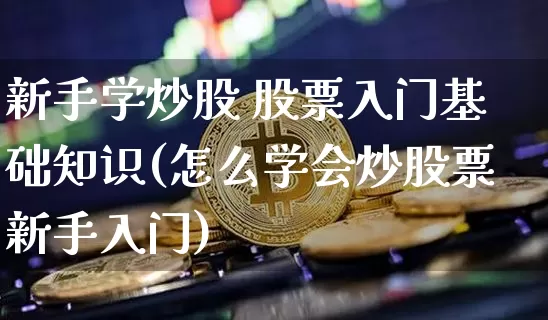 新手学炒股 股票入门基础知识(怎么学会炒股票新手入门)_https://www.cangshenghg.com_科创板_第1张