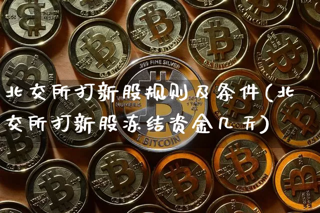 北交所打新股规则及条件(北交所打新股冻结资金几天)_https://www.cangshenghg.com_科创板_第1张