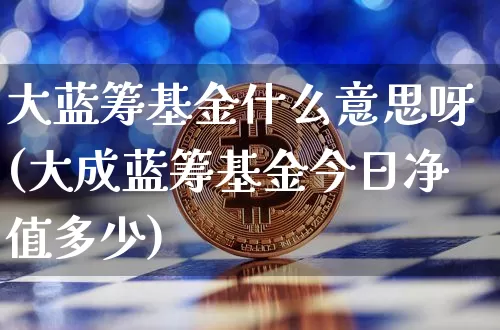 大蓝筹基金什么意思呀(大成蓝筹基金今日净值多少)_https://www.cangshenghg.com_创业板_第1张
