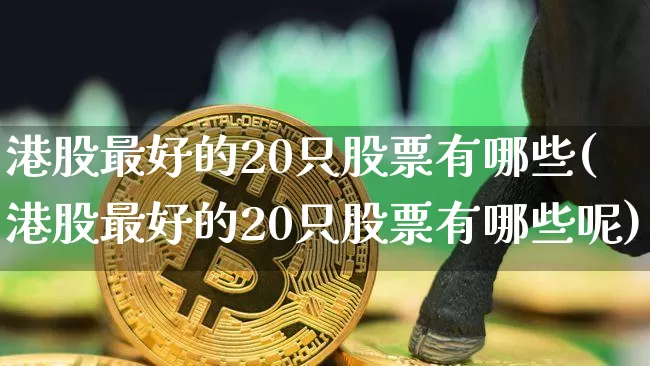 港股最好的20只股票有哪些(港股最好的20只股票有哪些呢)_https://www.cangshenghg.com_创业板_第1张