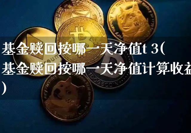 基金赎回按哪一天净值t 3(基金赎回按哪一天净值计算收益)_https://www.cangshenghg.com_北交所_第1张