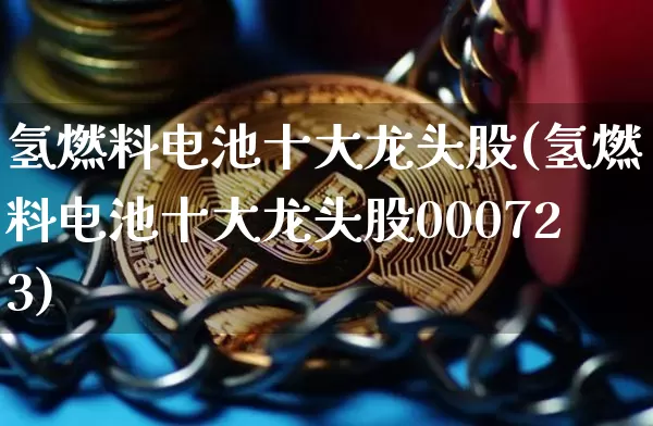 氢燃料电池十大龙头股(氢燃料电池十大龙头股000723)_https://www.cangshenghg.com_科创板_第1张