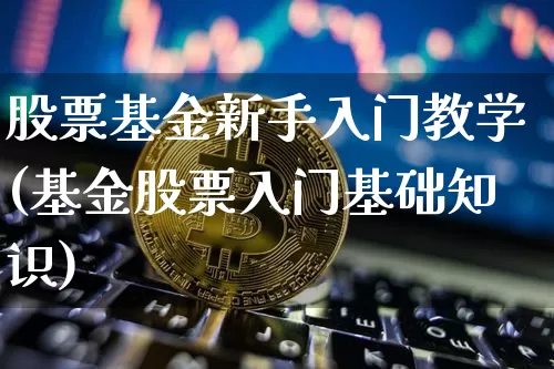 股票基金新手入门教学(基金股票入门基础知识)_https://www.cangshenghg.com_科创板_第1张