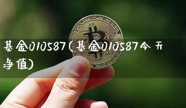 基金010587(基金010587今天净值)_https://www.cangshenghg.com_北交所_第1张