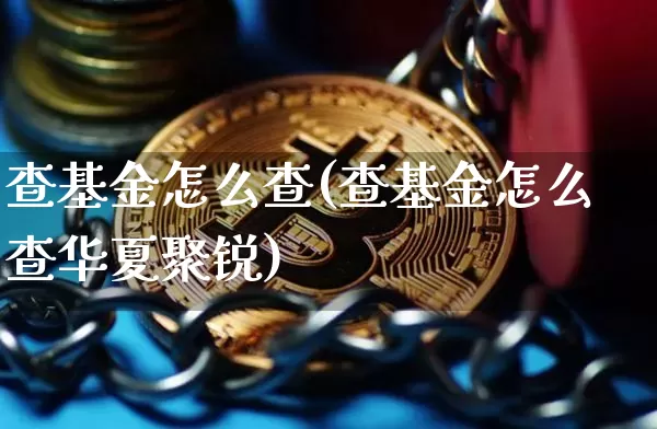查基金怎么查(查基金怎么查华夏聚锐)_https://www.cangshenghg.com_北交所_第1张