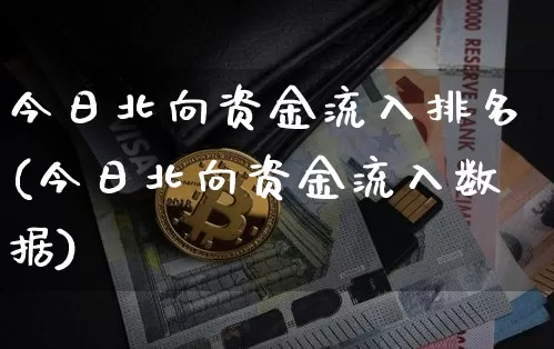 今日北向资金流入排名(今日北向资金流入数据)_https://www.cangshenghg.com_财经新闻_第1张