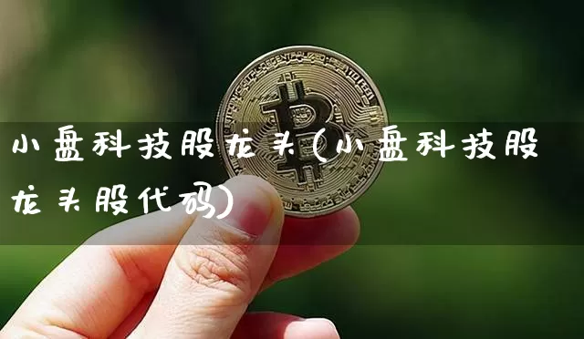 小盘科技股龙头(小盘科技股龙头股代码)_https://www.cangshenghg.com_北交所_第1张