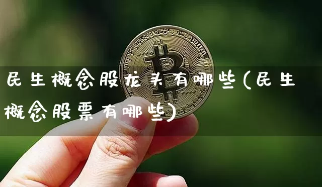 民生概念股龙头有哪些(民生概念股票有哪些)_https://www.cangshenghg.com_北交所_第1张