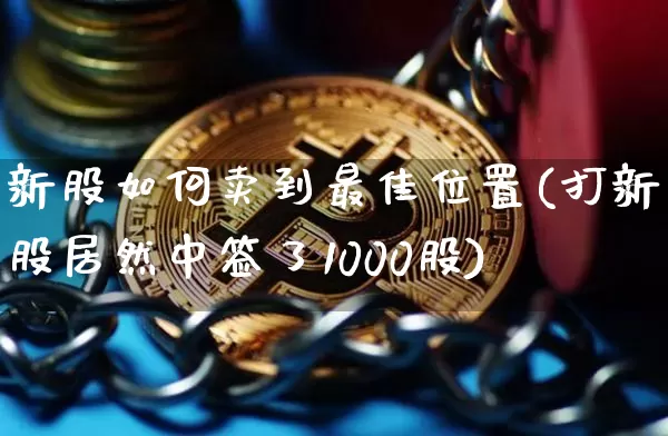 新股如何卖到最佳位置(打新股居然中签了1000股)_https://www.cangshenghg.com_财经新闻_第1张