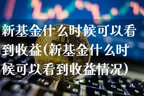 新基金什么时候可以看到收益(新基金什么时候可以看到收益情况)_https://www.cangshenghg.com_财经新闻_第1张