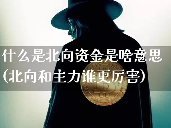 什么是北向资金是啥意思(北向和主力谁更厉害)_https://www.cangshenghg.com_北交所_第1张