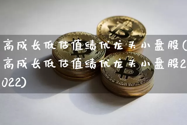 高成长低估值绩优龙头小盘股(高成长低估值绩优龙头小盘股2022)_https://www.cangshenghg.com_科创板_第1张