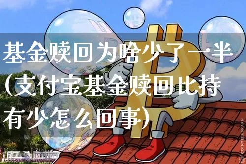 基金赎回为啥少了一半(支付宝基金赎回比持有少怎么回事)_https://www.cangshenghg.com_北交所_第1张