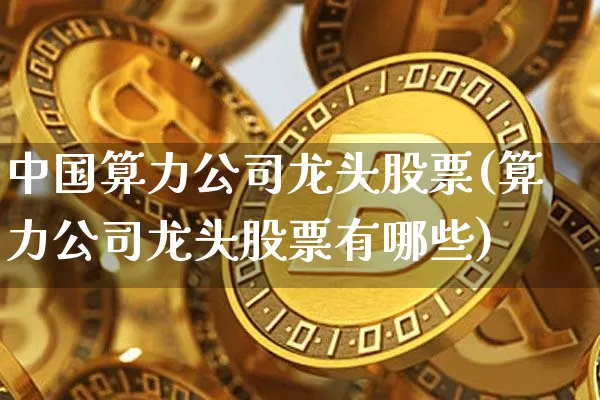 中国算力公司龙头股票(算力公司龙头股票有哪些)_https://www.cangshenghg.com_科创板_第1张