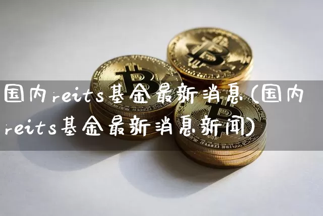 国内reits基金最新消息(国内reits基金最新消息新闻)_https://www.cangshenghg.com_科创板_第1张