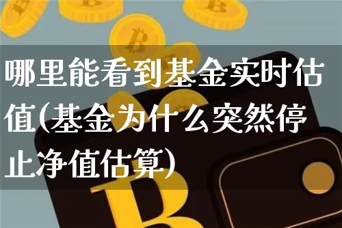哪里能看到基金实时估值(基金为什么突然停止净值估算)_https://www.cangshenghg.com_科创板_第1张
