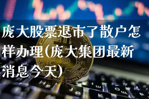 庞大股票退市了散户怎样办理(庞大集团最新消息今天)_https://www.cangshenghg.com_创业板_第1张