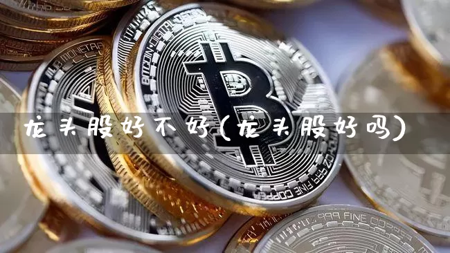 龙头股好不好(龙头股好吗)_https://www.cangshenghg.com_科创板_第1张