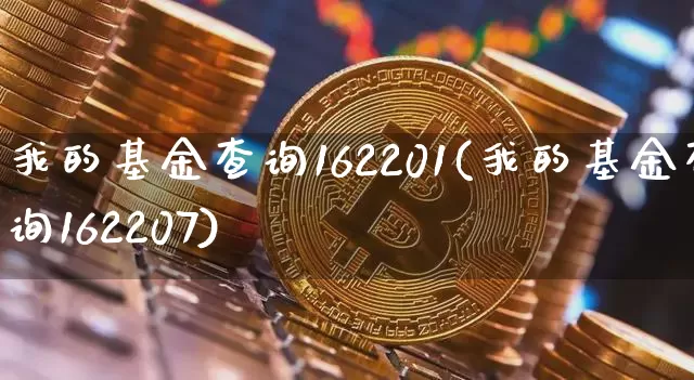 我的基金查询162201(我的基金查询162207)_https://www.cangshenghg.com_科创板_第1张