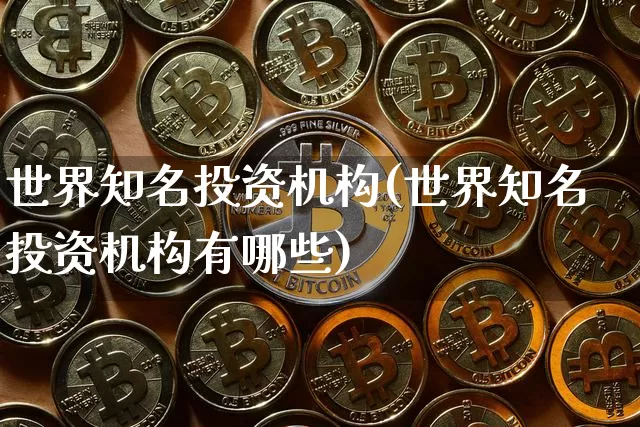 世界知名投资机构(世界知名投资机构有哪些)_https://www.cangshenghg.com_北交所_第1张