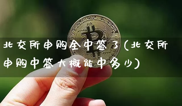 北交所申购全中签了(北交所申购中签大概能中多少)_https://www.cangshenghg.com_财经新闻_第1张