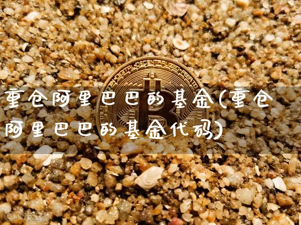 重仓阿里巴巴的基金(重仓阿里巴巴的基金代码)_https://www.cangshenghg.com_科创板_第1张