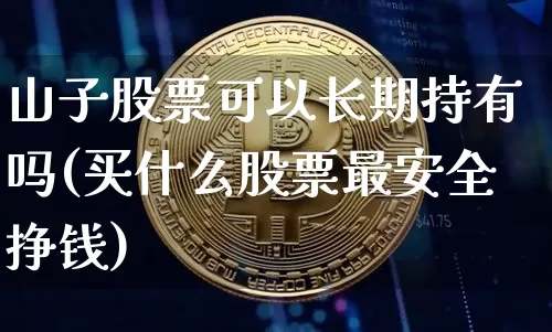 山子股票可以长期持有吗(买什么股票最安全挣钱)_https://www.cangshenghg.com_创业板_第1张