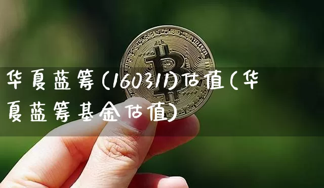 华夏蓝筹(160311)估值(华夏蓝筹基金估值)_https://www.cangshenghg.com_财经新闻_第1张