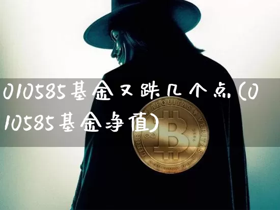010585基金又跌几个点(010585基金净值)_https://www.cangshenghg.com_科创板_第1张