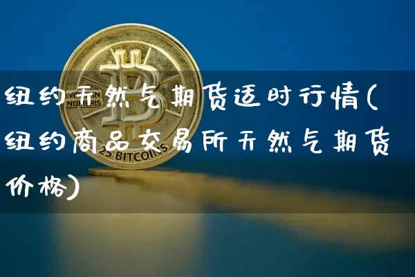 纽约天然气期货适时行情(纽约商品交易所天然气期货价格)_https://www.cangshenghg.com_北交所_第1张