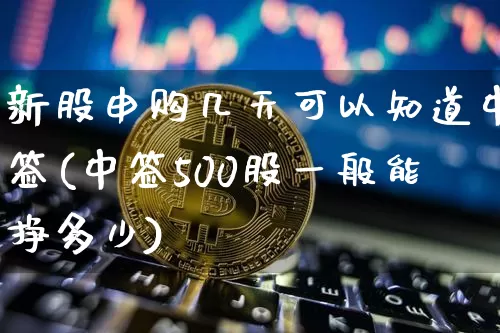 新股申购几天可以知道中签(中签500股一般能挣多少)_https://www.cangshenghg.com_北交所_第1张