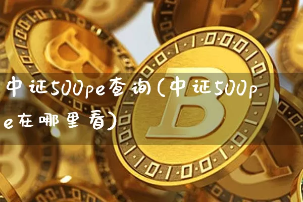 中证500pe查询(中证500pe在哪里看)_https://www.cangshenghg.com_北交所_第1张