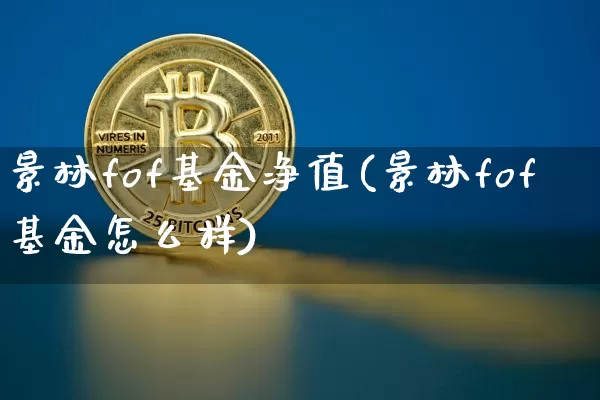 景林fof基金净值(景林fof基金怎么样)_https://www.cangshenghg.com_科创板_第1张