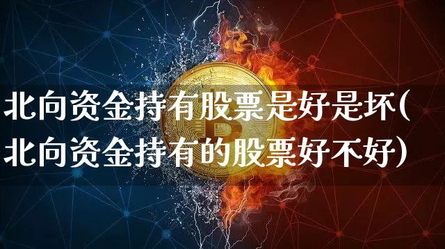 北向资金持有股票是好是坏(北向资金持有的股票好不好)_https://www.cangshenghg.com_创业板_第1张