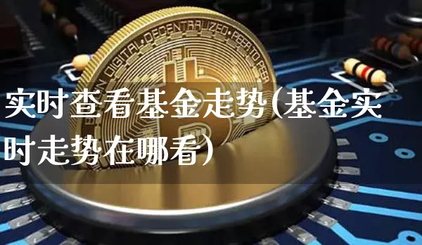 实时查看基金走势(基金实时走势在哪看)_https://www.cangshenghg.com_北交所_第1张