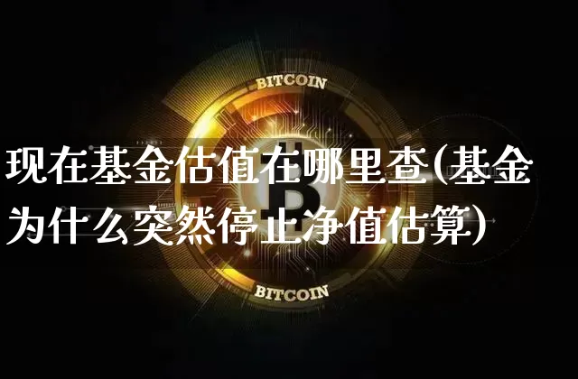现在基金估值在哪里查(基金为什么突然停止净值估算)_https://www.cangshenghg.com_创业板_第1张