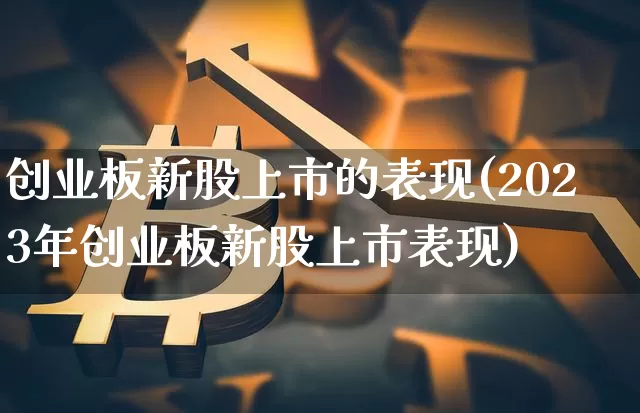 创业板新股上市的表现(2023年创业板新股上市表现)_https://www.cangshenghg.com_北交所_第1张