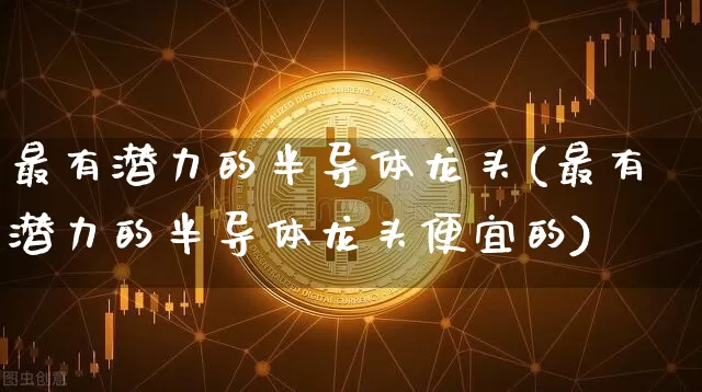 最有潜力的半导体龙头(最有潜力的半导体龙头便宜的)_https://www.cangshenghg.com_北交所_第1张