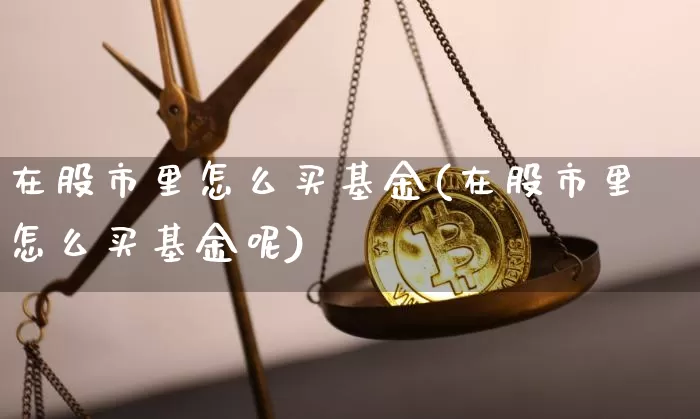 在股市里怎么买基金(在股市里怎么买基金呢)_https://www.cangshenghg.com_北交所_第1张