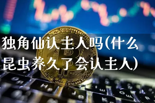 独角仙认主人吗(什么昆虫养久了会认主人)_https://www.cangshenghg.com_财经新闻_第1张