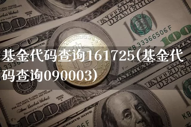基金代码查询161725(基金代码查询090003)_https://www.cangshenghg.com_科创板_第1张
