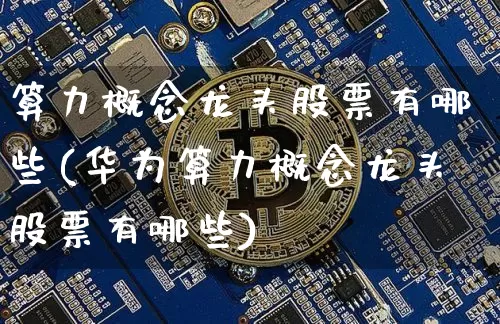 算力概念龙头股票有哪些(华为算力概念龙头股票有哪些)_https://www.cangshenghg.com_创业板_第1张