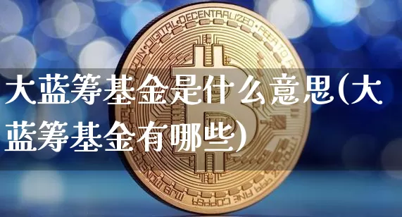 大蓝筹基金是什么意思(大蓝筹基金有哪些)_https://www.cangshenghg.com_财经新闻_第1张