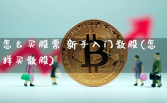 怎么买股票 新手入门散股(怎样买散股)_https://www.cangshenghg.com_北交所_第1张