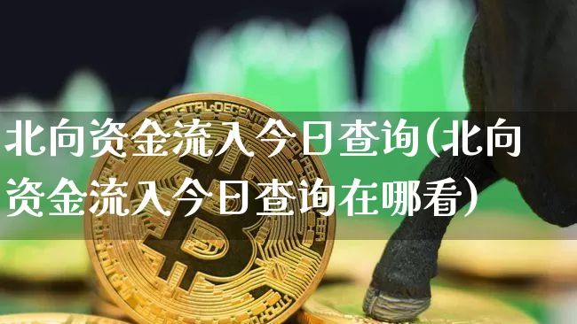 北向资金流入今日查询(北向资金流入今日查询在哪看)_https://www.cangshenghg.com_北交所_第1张